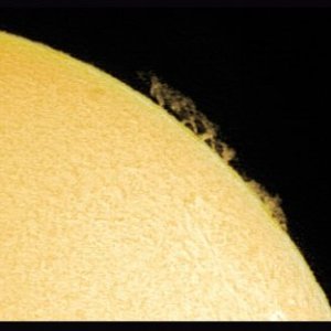 savannenwald_sonne.jpg