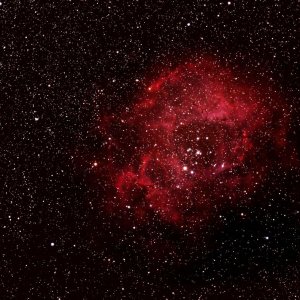 Rosettennebel NGC2244 - Test