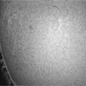 sonne+protube2.jpg