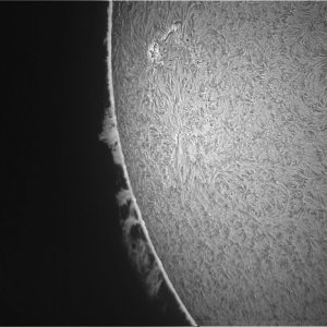 Sonne1+protube2.jpg