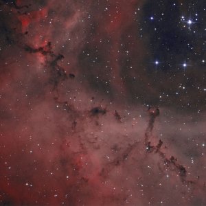 NGC2239 - neuer Versuch