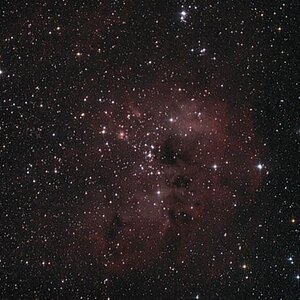 IC 410 mit NGC 1893 im Fuhrmann