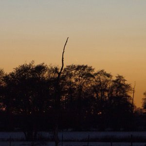 _MG_9453_Komet PANSTARRS_07.jpg