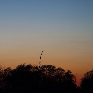_MG_9449_Komet PANSTARRS_04.jpg