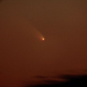 IMG_9781.JPG