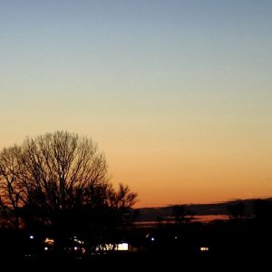 IMG_1429.JPG