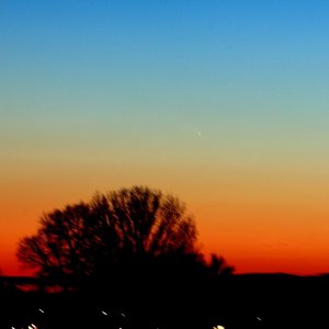 IMG_9703.JPG