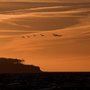 Panstarrs und Sichelmond