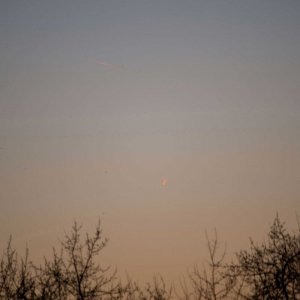 IMG_4418.jpg