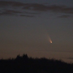 Panstarrs aus Schleswig Holstein