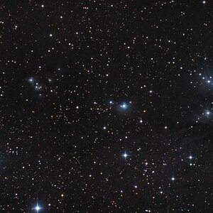 NGC 2170 und andere Reflexionsnebel