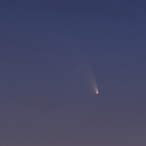 12x1s_ISO1600_200mm_2,8_NEX5_PanStarrs2011_ausschnitt.jpg