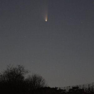 Panstarrs