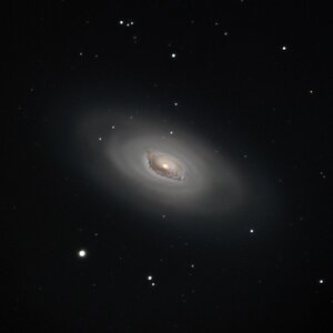 M 64