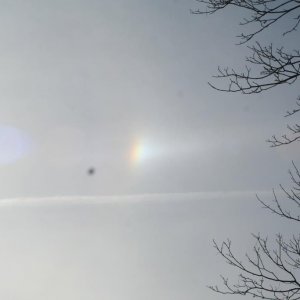 IMG_4447.JPG