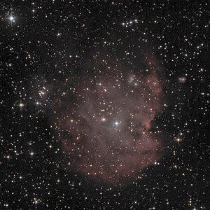 NGC 2175 - Affenkopf-Nebel