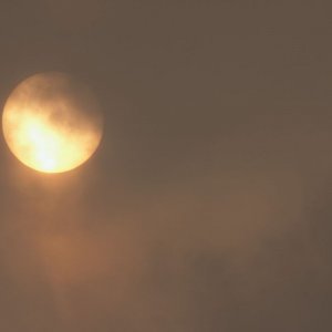 Lichtblick