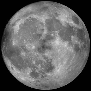 mond-26-3-13.jpg
