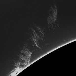 ut 0748.jpg
