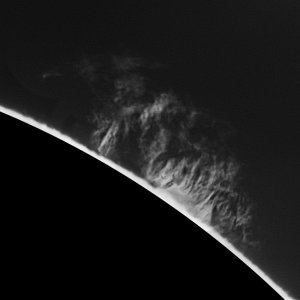 ut 0755.jpg