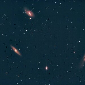 Leo Triplett