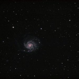 M101