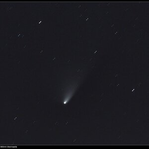 Komet Panstarrs mit Kern