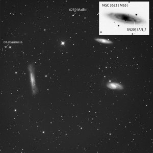 Supernova in M 65