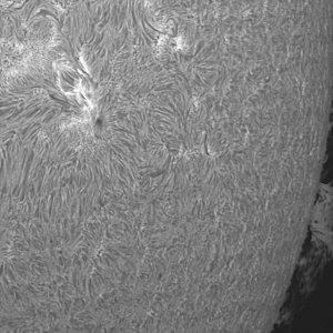 Sonne_4web.jpg