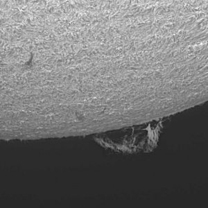 Sonne_1web.jpg