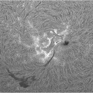 Sonne_2web.jpg