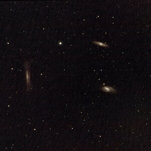 Leo Triplett First Light