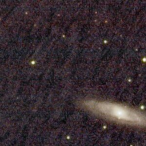 Leo Triplett First Light