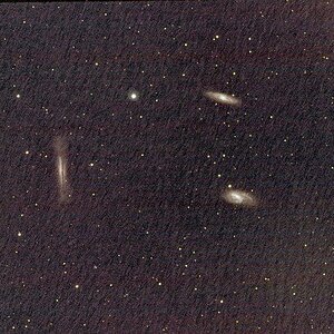 Leo Triplett First Light