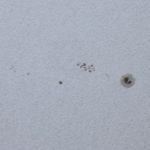 Sonnenflecken 1721 und 1722
