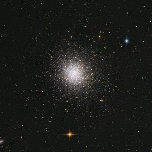 M13