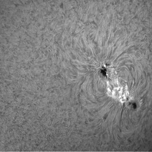 Sonne H-alpha 23.04.13