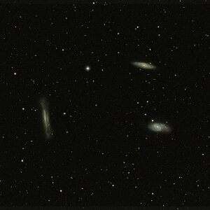 Wieder mal Leo Triplett