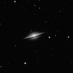 M 104