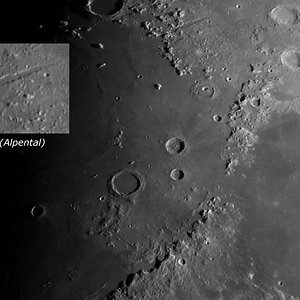 P4032181JpegAde2.jpg