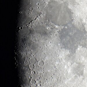 P4032181JpegAde2013neu.jpg