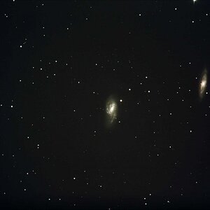 M65/66