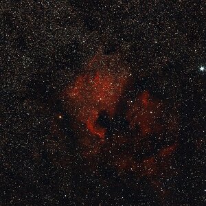 NGC 7000