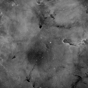 Elefantenrüssel mit 450mm, Vollversion