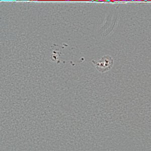 Fleckengruppe AR 1765 vom 08.06.2013