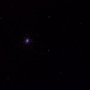 IMG_0021.jpg