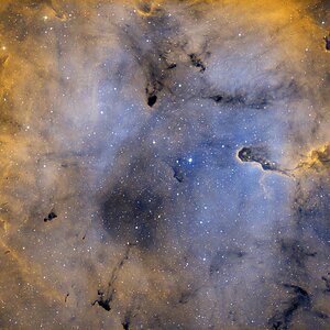 IC1394 - Elefantenrüssel Widefield Bicolor