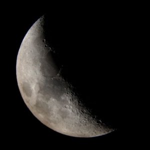 Mond