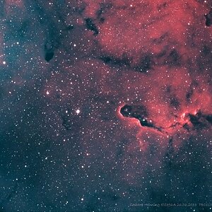 IC1396A Bicolor