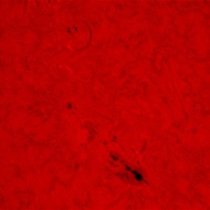 AR 1785 vom 07.07.2013 in H-Alpha